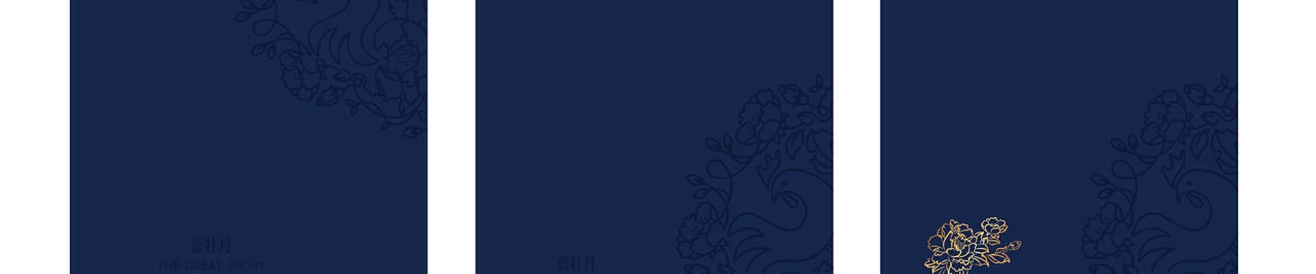 联系我们
