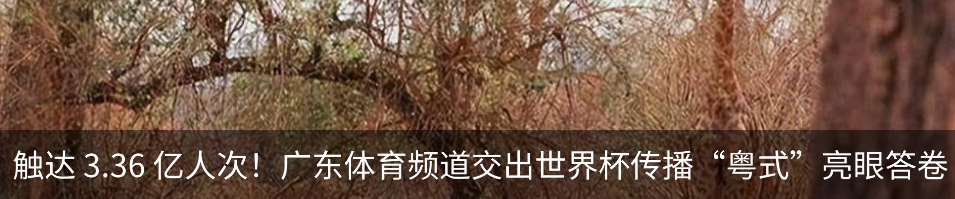 资讯中心